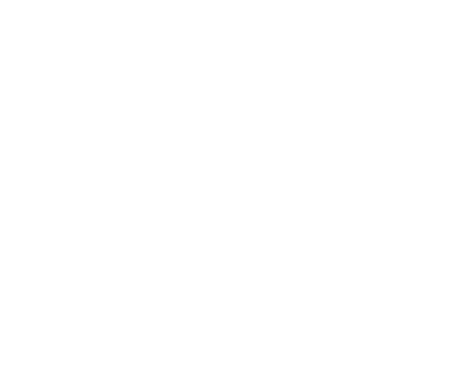 ZWO Luxury